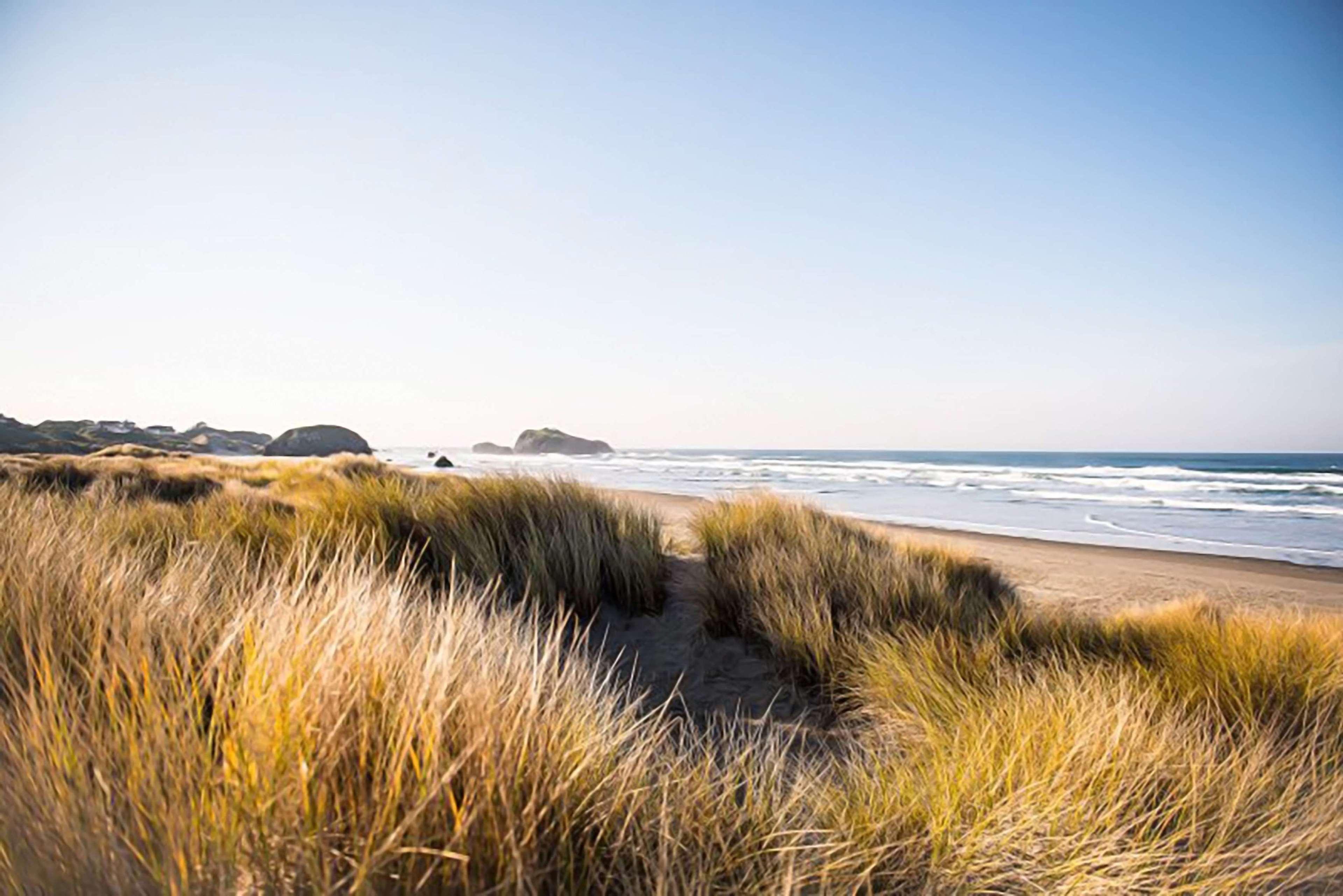 Best Western Inn At Face Rock Bandon Buitenkant foto
