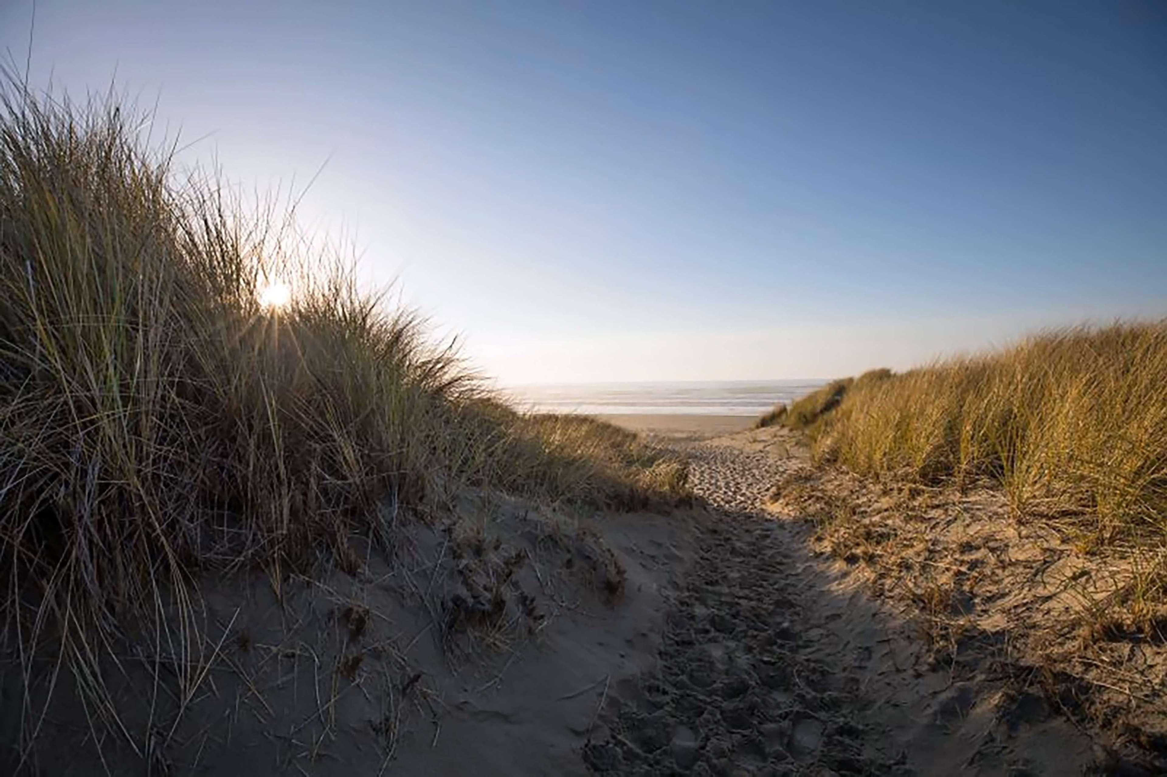 Best Western Inn At Face Rock Bandon Buitenkant foto